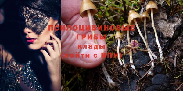 стафф Балабаново