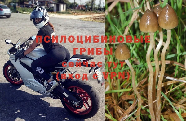 гидропоника Баксан