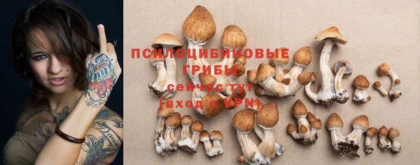 стафф Балабаново