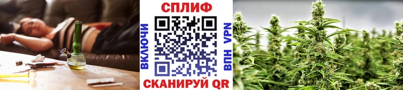 Канабис Amnesia  Купить где  Дорогобуж 